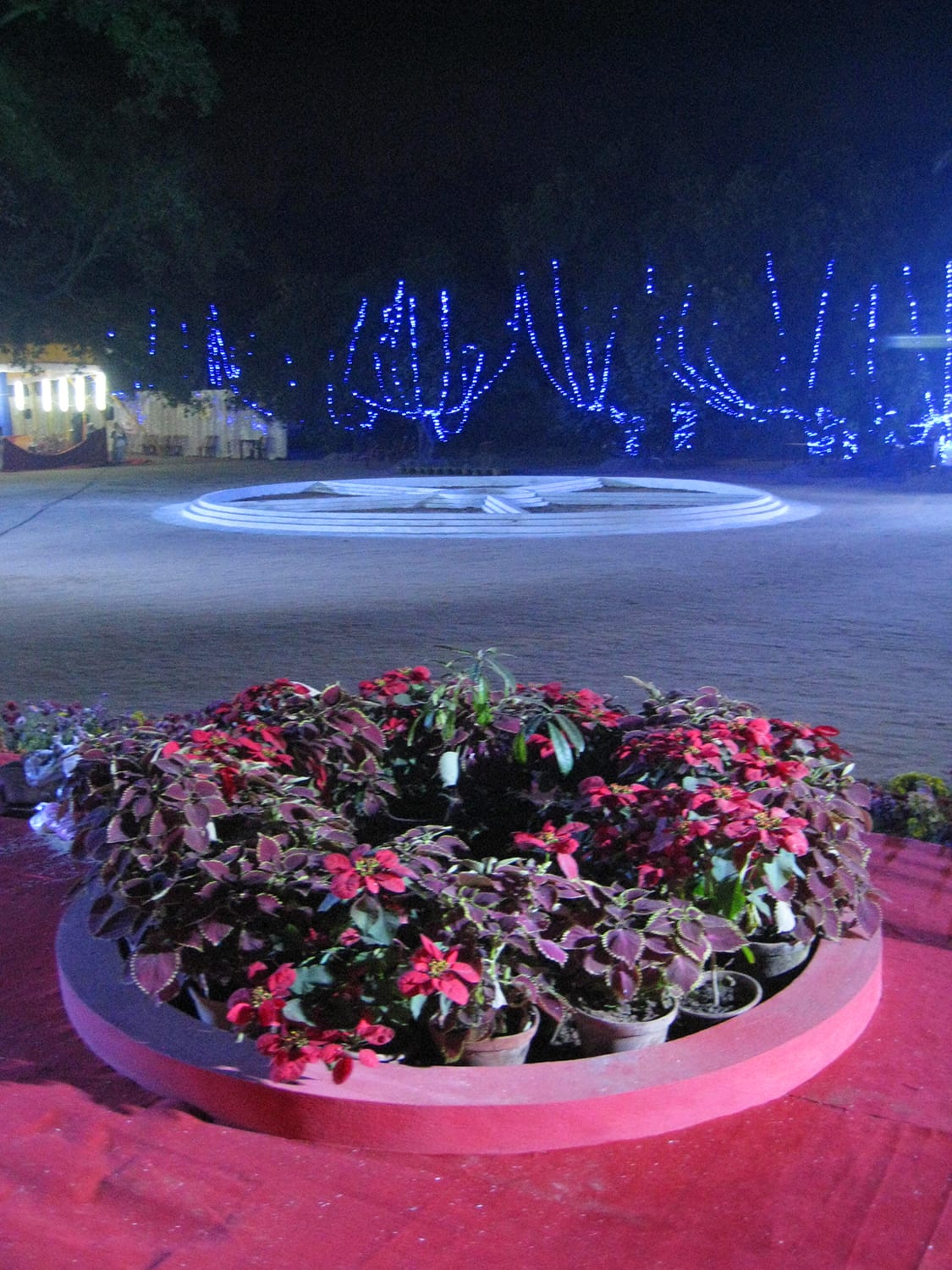 IMG_6121 copy.jpg